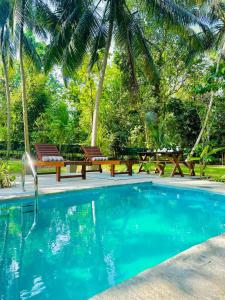 a swimming pool with two benches and a picnic table at Elegant Hamlets Home Stay in Chilaw