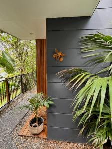 a black wall with plants next to a house at Sunnyside Studio - Pet Friendly Luxury Escape in Port Macquarie