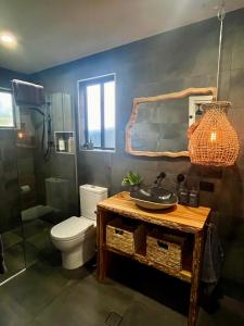a bathroom with a toilet and a sink and a shower at Sunnyside Studio - Pet Friendly Luxury Escape in Port Macquarie