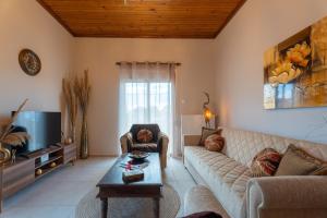 a living room with a couch and a tv at Elviras houses II in Agria