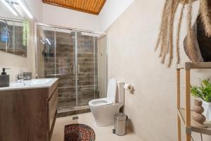 a bathroom with a shower and a toilet and a sink at Elviras houses II in Agria +27 photos