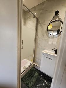 ピエールフィット・シュル・セーヌにあるChambre verte proche de stade de Franceの小さなバスルーム(シャワー、シンク付)