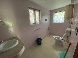 a bathroom with a sink and a toilet at Double Dutch, Old Manali in Manāli