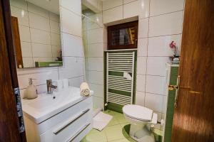 La salle de bains est pourvue d'un lavabo, de toilettes et d'un miroir. dans l'établissement Holiday Home Vila Kopriva, à Gozd Martuljek