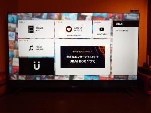 TV o dispositivi per l'intrattenimento presso ホテル カーシュ Cache 男塾ホテルグループ