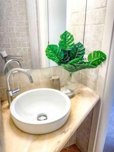 ein Waschbecken mit einer grünen Pflanze auf der Theke in der Unterkunft Dreamy LOFT con vista sul golfo giardino e Jacuzzi in Santa Margherita Ligure