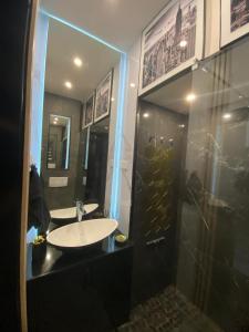 a bathroom with a sink and a shower at Denis&kanya in Nice +17 photos