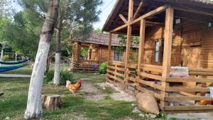 Tiny houses Genacvale في مارتيفيلي: دجاجة تقف أمام كابينة خشبية
