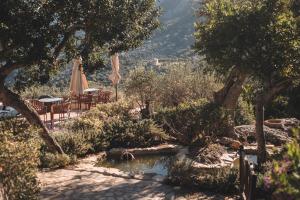 a garden with a table and umbrella and a pond at Sa Pedrissa in Deia