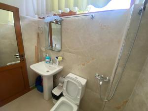 y baño con aseo, lavabo y ducha. en Guesthouse SELI, en Berat