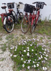 three bikes parked next to a bunch of flowers at Hôtel Ker-Noyal Quiberon Plage in Quiberon