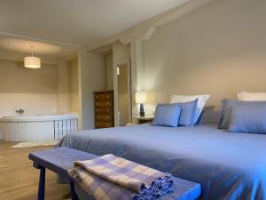 ein Schlafzimmer mit einem großen Bett mit blauen Kissen in der Unterkunft Apartamentos Calm & Nature en Liebana in Cabezón de Liébana