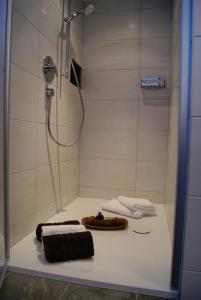 Ένα μπάνιο στο Haus Elena +23 φωτογραφίες