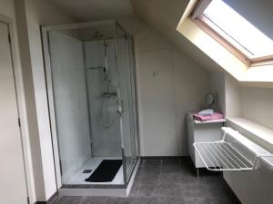 Koupelna v ubytování B&B Molen Ter Walle