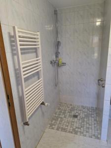 a shower with a glass door in a bathroom at Das Apfelhaus in Rappin