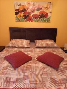 un letto con due cuscini e un dipinto sul muro di Apartmani Corleone a Bilice (Bilizze)