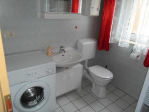 een badkamer met een wastafel en een wasmachine bij Familienfreundliches Ferienhaus - b64026 in Marktgraitz