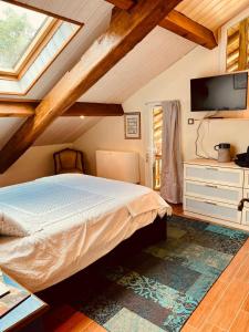 L'Escafouchot de Moulère في Créon-dʼArmagnac: غرفة نوم بسرير وتلفزيون على سقف