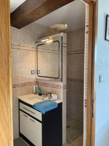 uma casa de banho com um lavatório e um chuveiro com um espelho. em L'Escafouchot de Moulère em Créon-dʼArmagnac