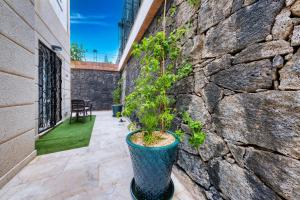 A garden outside Casa Mia
