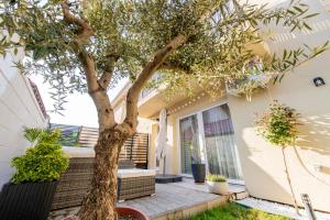 a tree in the courtyard of a house at Olive Apartment in Timişoara