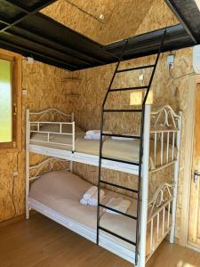 Pokój z 3 łóżkami piętrowymi w jaskini w obiekcie Odamarani w Kutaisi