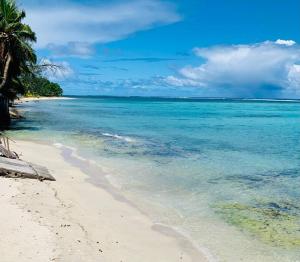 - une plage avec un palmier et l'océan dans l'établissement Paea Lodge, à Paea