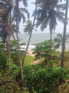 a view of a beach with palm trees and the ocean at Coco on the Cliff in Thottada