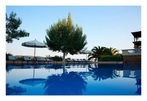 Mourterón的住宿－Beach villa Alonissos for 4 people，一个带树和椅子的游泳池以及一把遮阳伞