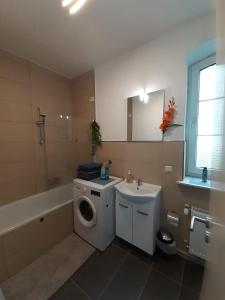 een badkamer met een wasmachine en een wastafel bij Spacious Apartment for Traveler and Fitter in Lollar