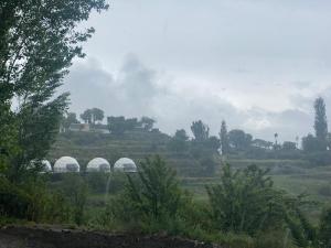 uma vista para um campo com cúpulas e árvores em Glamping Resort Hunza em Hunza