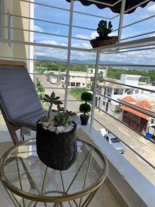 a chair and a glass table with plants on a balcony at Nice and Breezy Apartment in Santiago de los Caballeros