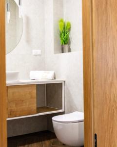 een badkamer met een toilet en een wastafel bij Złoty Szałas in Zarzecze