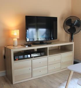 a entertainment center with a flat screen tv on top at Studio Le Cosy in Montrichard