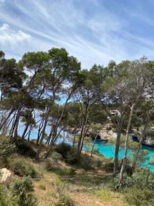 a group of trees next to a body of water at Hostal Palmaria in Cala Santanyi