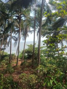 a view of the ocean from a plantation with palm trees at Coco on the Cliff in Thottada