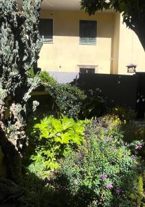 einen Blumengarten vor einem Gebäude in der Unterkunft LOQUAT HOUSE nel giardino segreto in zona Vaticano in Rom