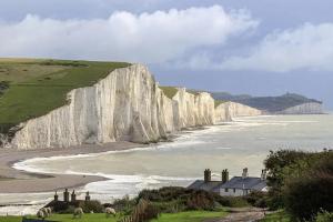 a group of animals grazing in front of a large white cliffs at Tranquility Short & Long stays in Eastbourne