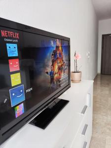 A television and/or entertainment centre at Apartman M&M