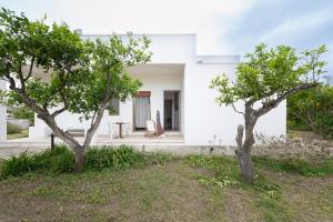 twee bomen voor een wit huis bij Borgo Borgia - Casa del Beccaio in Giurdignano