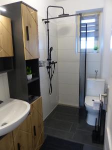 a bathroom with a shower and a toilet and a sink at Ferienwohnung in Hof Saale in Hof +2 photos