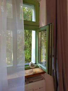 ein Fenster mit einem Vogel, der auf einem Fensterbrett sitzt in der Unterkunft Pastorówka in Świdnica