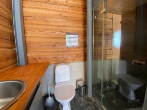 a bathroom with a toilet and a sink and a shower at Villa Tuikkula in Sotkamo +14 photos