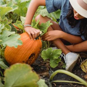 a girl is holding a pumpkin in a field at El Lagar del Abuelo en los Arribes del Duero, Badilla, Zamora in Zamora +45 photos