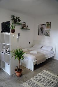 a bedroom with a large white bed and a plant at Comfortable Apartment & Studio in Village Centre in Komen