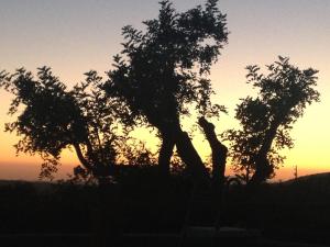 Natuurlandschap vlak bij de luxe tent
