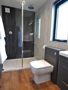 a bathroom with a shower and a toilet and a sink at The Lodges at Thornbrook in Ingleton 