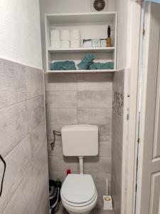 een kleine badkamer met een toilet en handdoeken bij Cozy Studio Apartment in Arad City Center in Arad