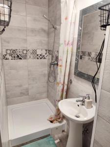 een badkamer met een bad, een wastafel en een douche bij Cozy Studio Apartment in Arad City Center in Arad