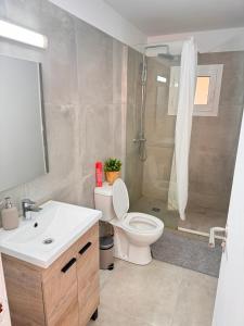 聖安東尼奧的住宿－CISNE Hostal by Nest，一间带水槽、卫生间和淋浴的浴室